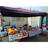 maiko140831 (26).jpg